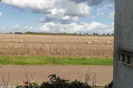 Haus Wunstorf - 4 Zimmer, 117 m&sup2;, 419.000&euro; | Angebot:24956110