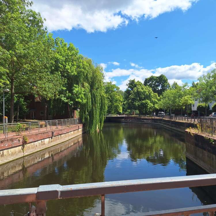 Wohnung zum Mieten in Hannover 800 € 74 m²