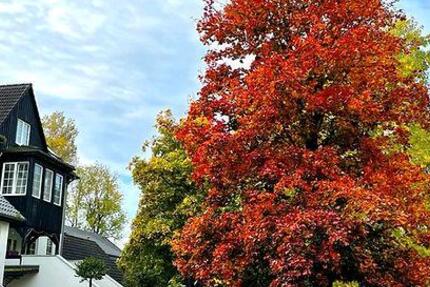 Helle Büroräume Praxis Atelier Hobby Raum zu vermieten zimmer