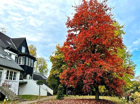 Helle Büroräume Praxis Atelier Hobby Raum zu vermieten zimmer
