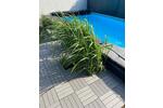 Bungalow Wedemark - 6.5 Zimmer, 167 m&sup2;, 590.000&euro; | Angebot:26459262