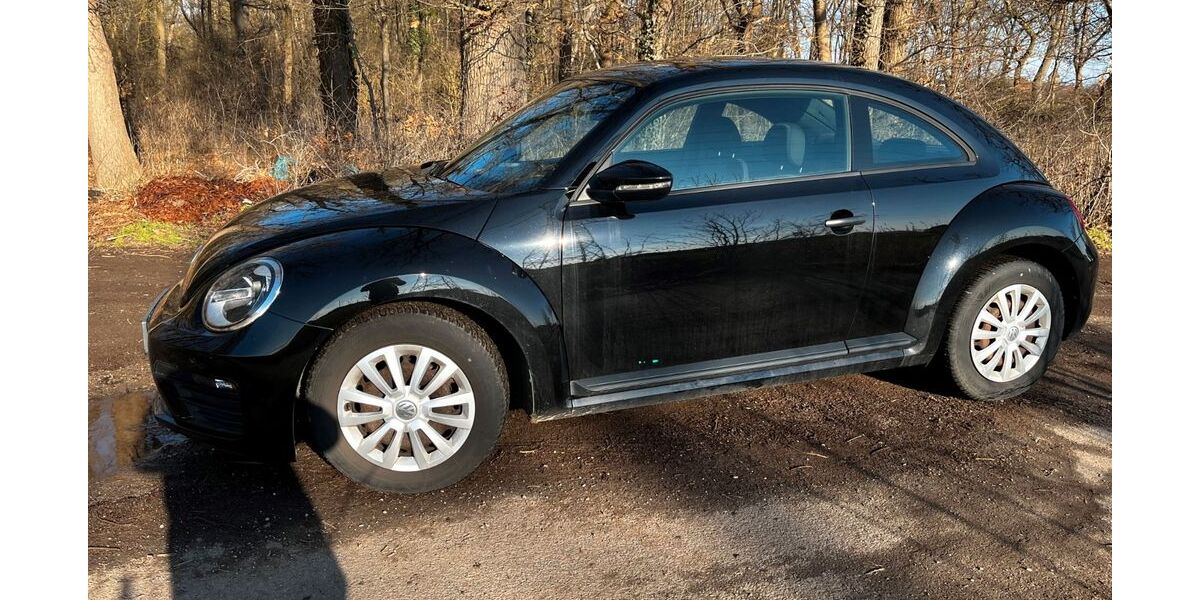 VW Beetle 89.350 km 12.300 &euro; Sehnde 31319