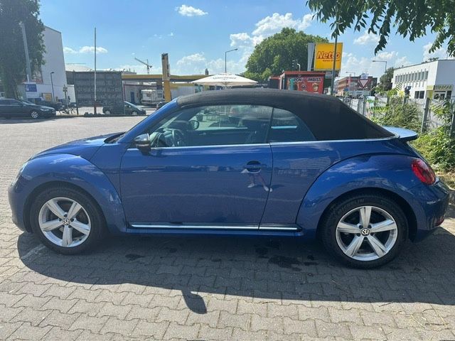 Beetle
