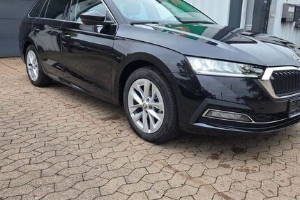 Skoda Octavia 20.000 km 29.499 € Garbsen bei Hannover 30827