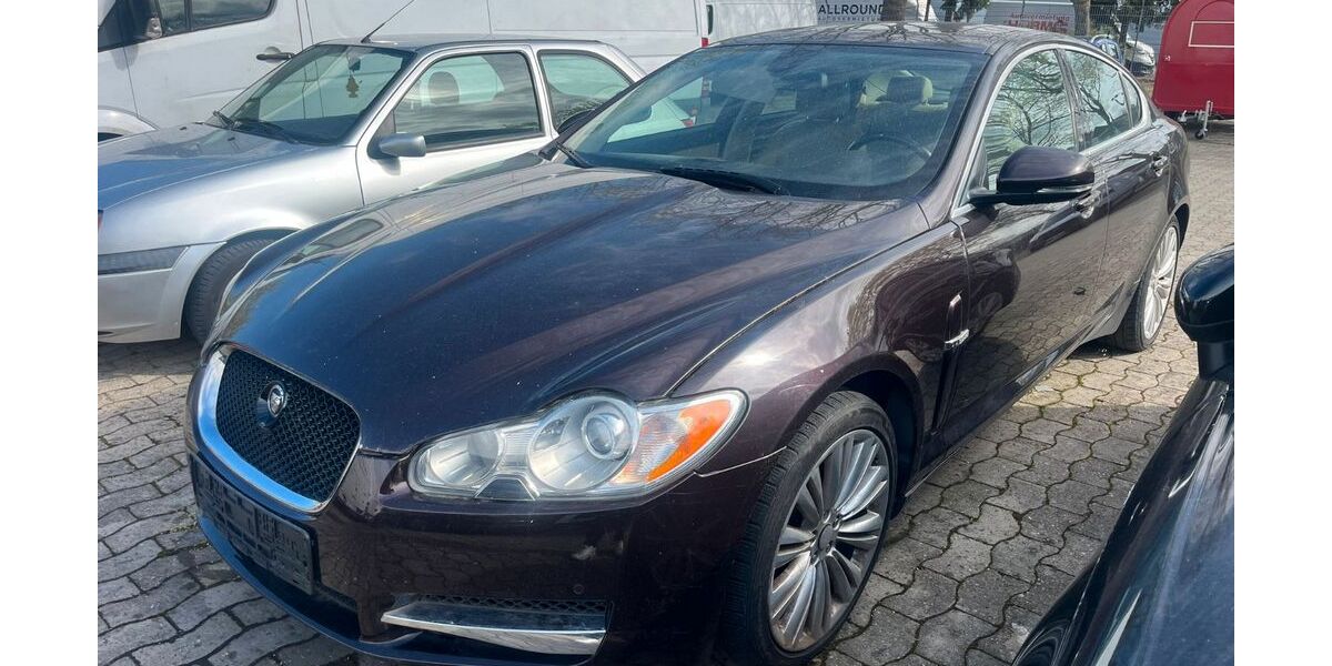 Jaguar XF 225.000 km 1.690 &euro; Hannover 30161