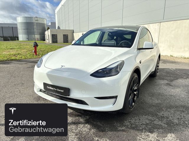 Model Y