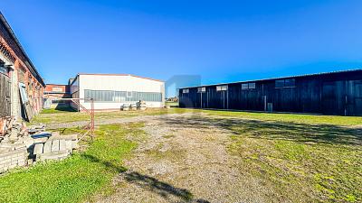 HALLENKOMPLEX MIT FREIFLÄCHEN UND WIESE 5 zimmer