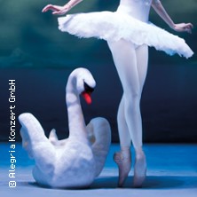 Schwanensee - International Festival Ballet 11.01.2026 Theater am Aegi