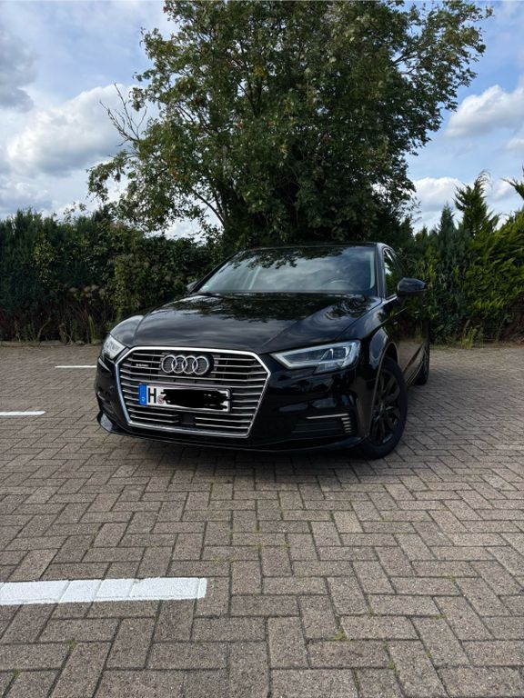 A3