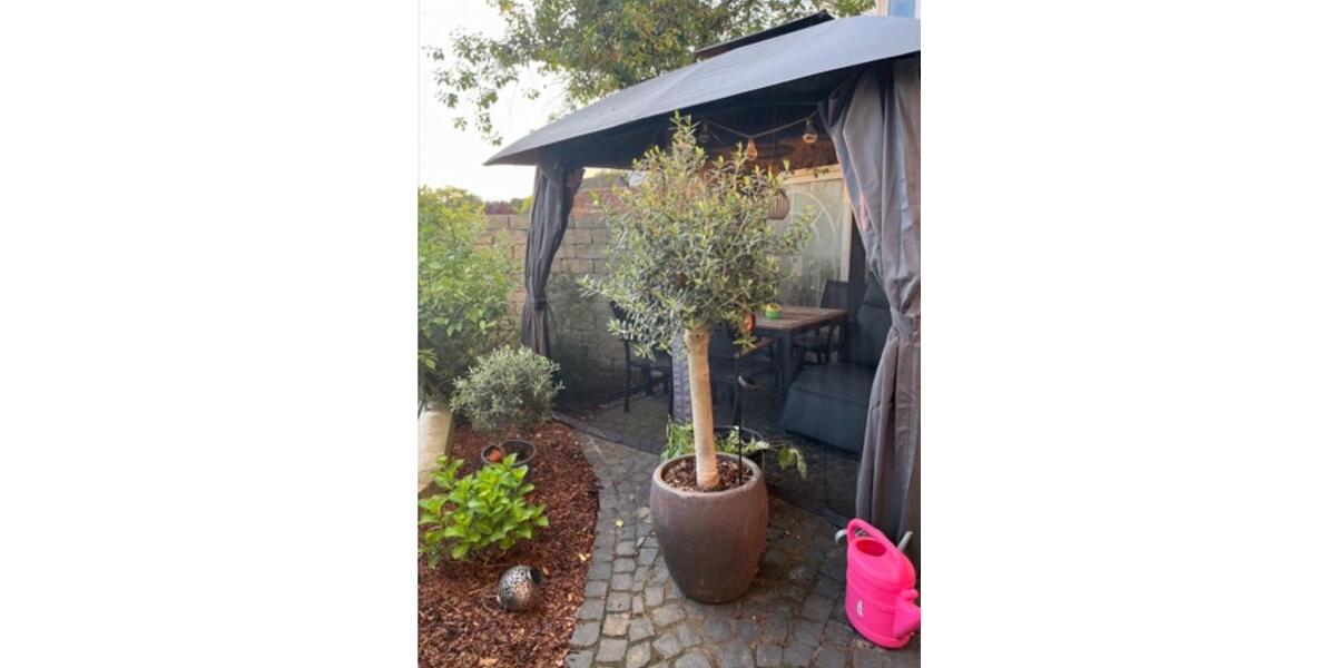 Terrassenwohnung Wunstorf - 4.5 Zimmer, 173 m&sup2;, 320.000&euro; | Angebot:26249018