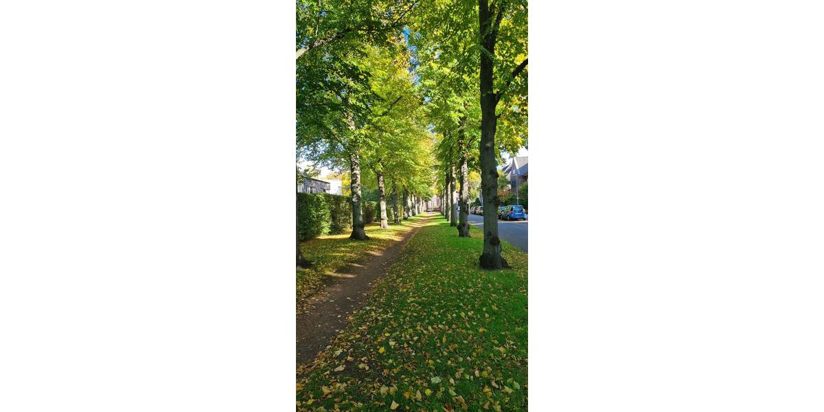 Etagenwohnung Sehnde - 2 Zimmer, 68 m&sup2;, 790&euro; | Angebot:25198596