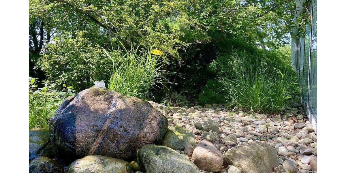 Wohnen und Arbeiten auf einem Grundstück! zimmer