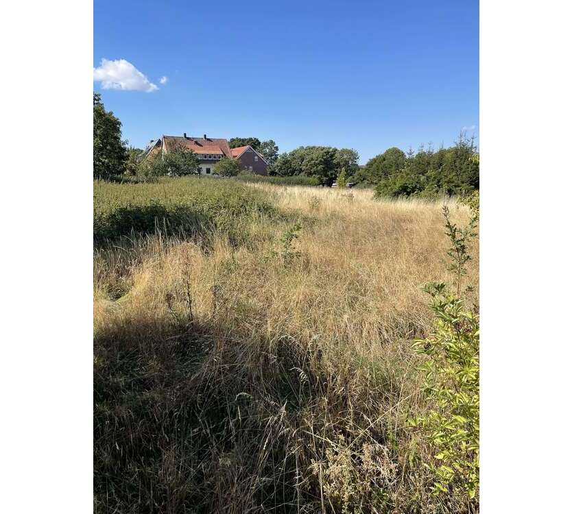 Haus zum Kaufen in Bantorf 540.590 € 144 m²