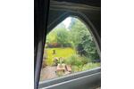 Doppelhaushälfte Isernhagen - 5 Zimmer, 175 m&sup2;, 690.000&euro; | Angebot:27084820