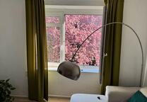 3 Zimmer Wohnung VON PRIVAT DIREKT AM MASCHSEE SPRENGEL MUSEUM