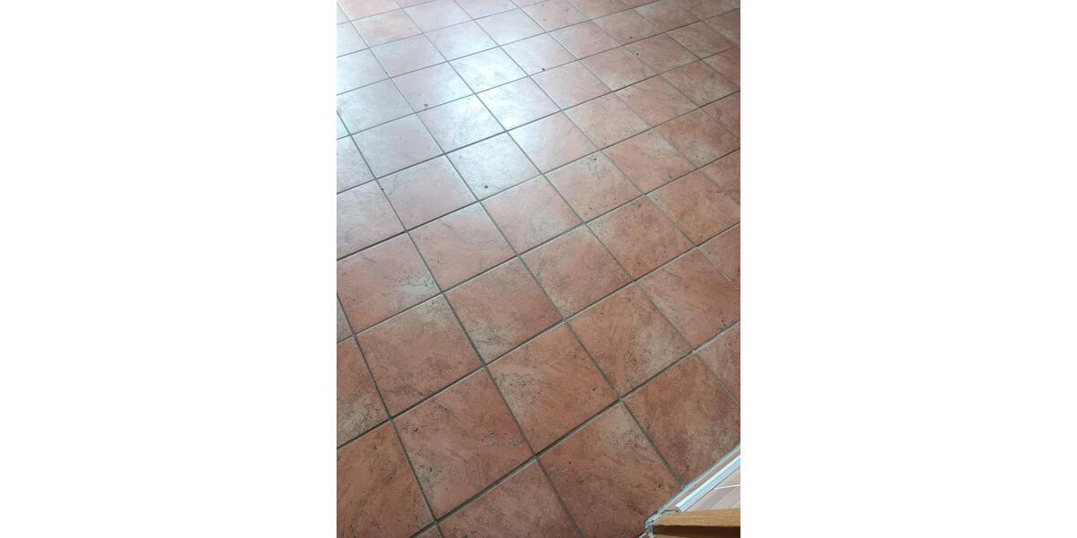 Erdgeschoßwohnung Neustadt am Rübenberge - 5 Zimmer, 160 m&sup2;, 990&euro; | Angebot:26646456