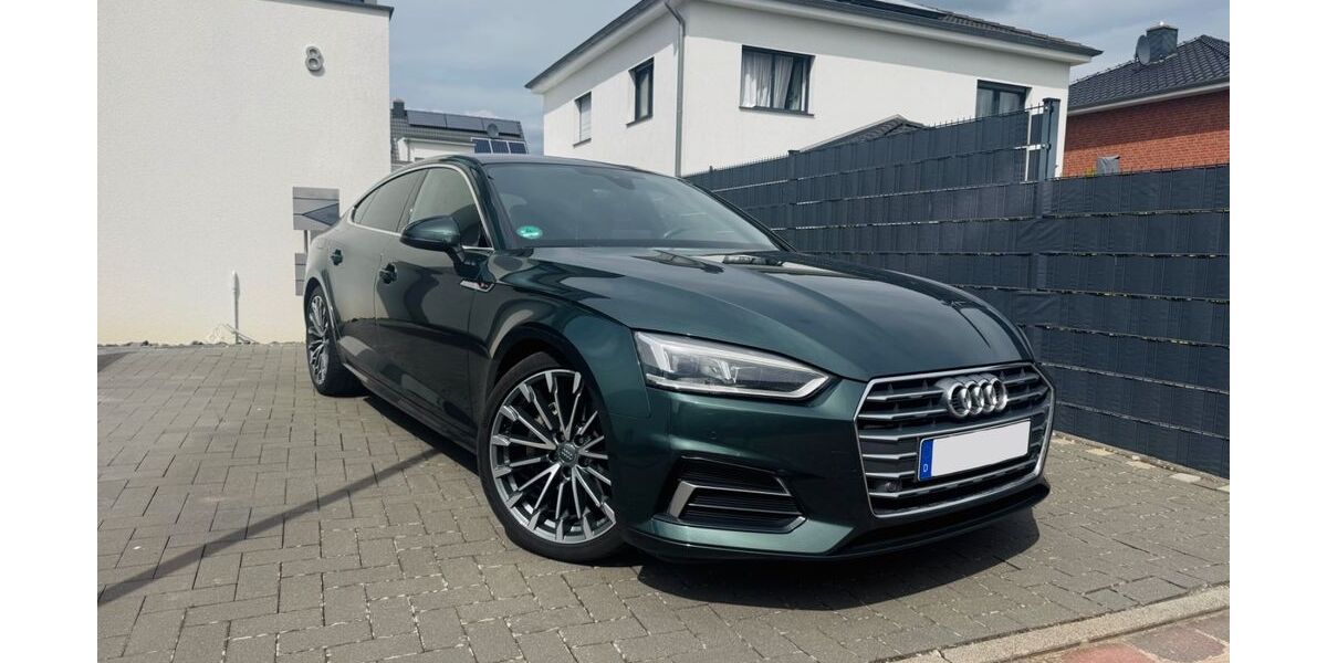 Audi A5 195.067 km 18.900 &euro; Sarstedt 31157