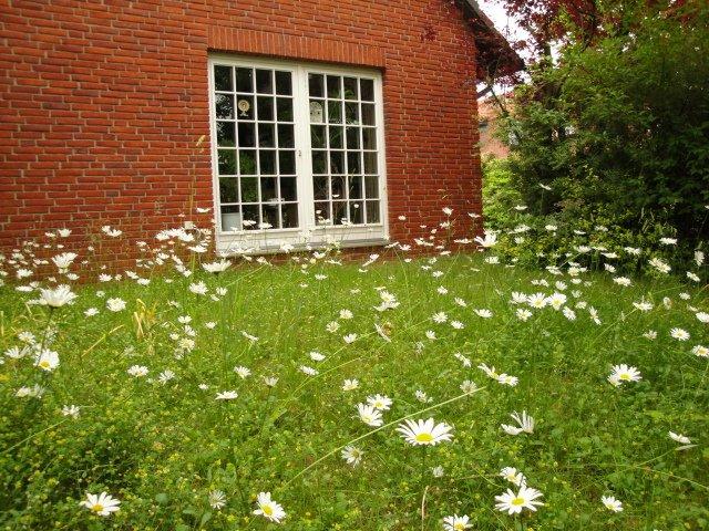 Dachgeschoßwohnung Barsinghausen - 3 Zimmer, 74 m&sup2;, 600&euro; | Angebot:26602535