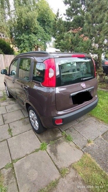 Panda