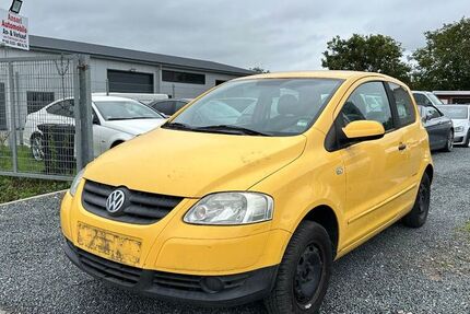 VW Fox