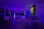 Terrassenwohnung Springe - 2 Zimmer, 85 m&sup2;, 1.110&euro; | Angebot:26879295