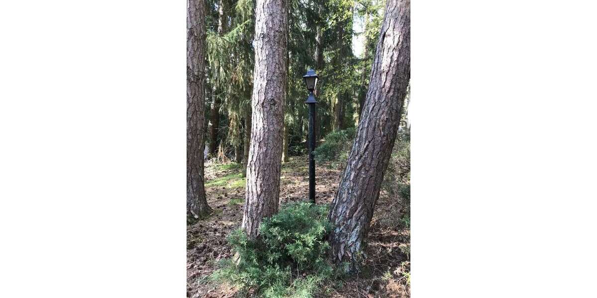 Grundstück zu verkaufen in Lindwedel 225.000 € 1000 m² zimmer