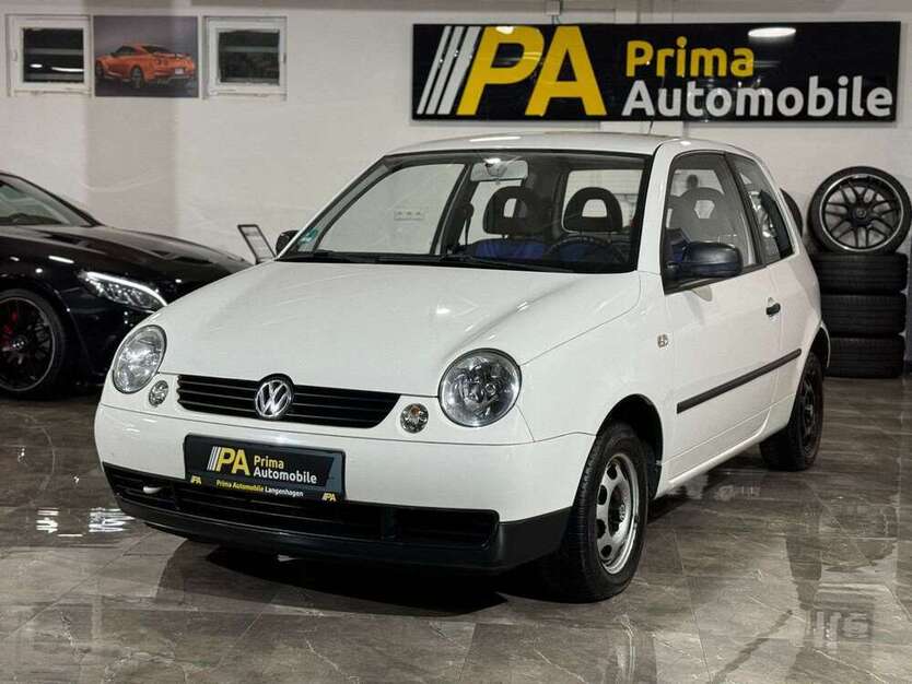 Lupo