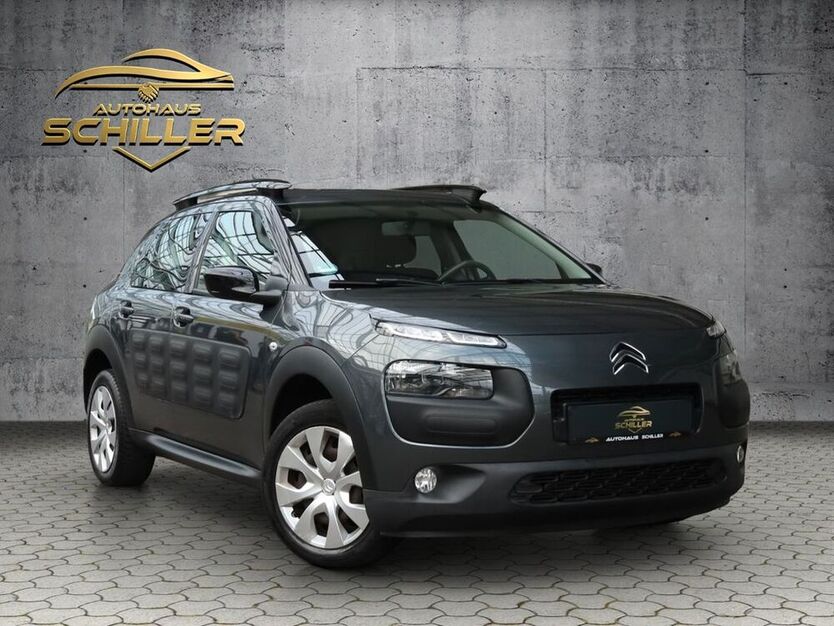 C4 Cactus