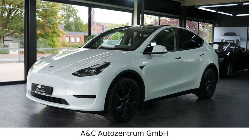 Model Y