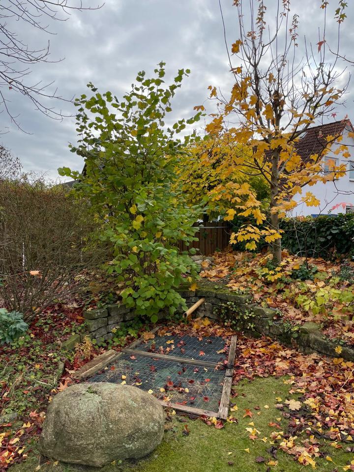 Helle, geräumige 4-Zimmer-DHH mit gehobener Innenausstattung zimmer