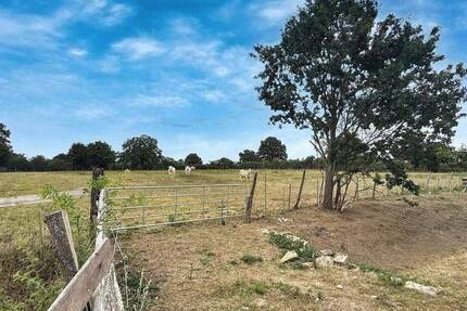 Grundstück Neustadt Mardorf - 69.000&euro; | Angebot:26438684