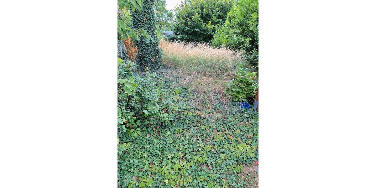 Haus Hof Garten Terasse ! Kaltmiete: 4 zimmer