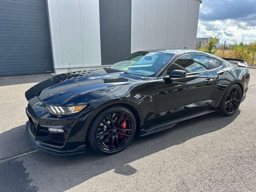 Mustang