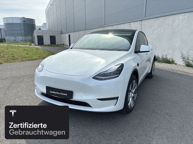 Model Y