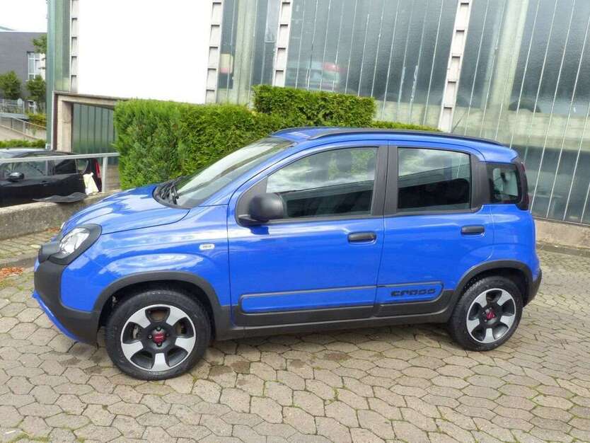 Panda