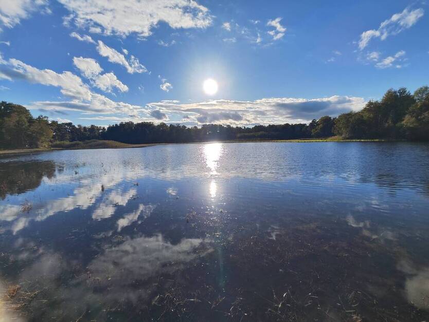 Grundstück im Wochenendgebiet Würmsee! (MA-1020-44) zimmer