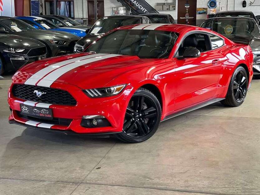 Mustang
