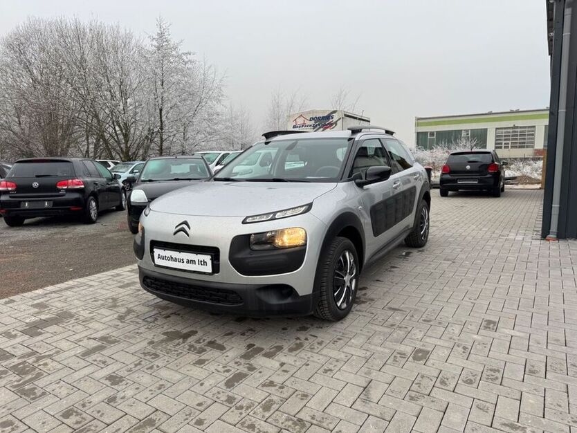 C4 Cactus