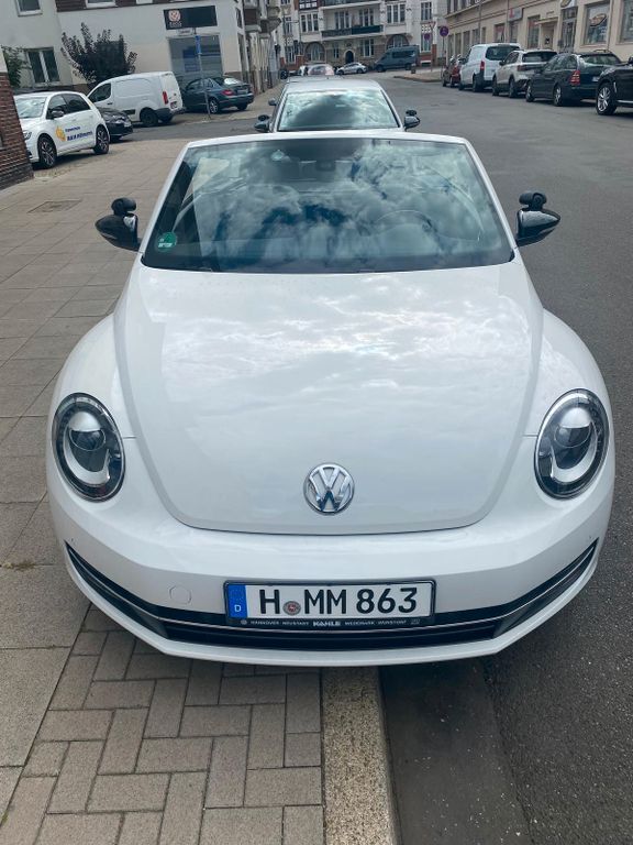 Beetle