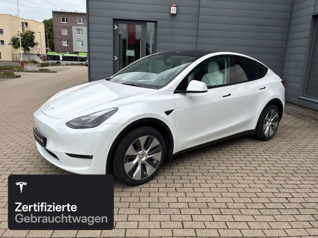 Model Y
