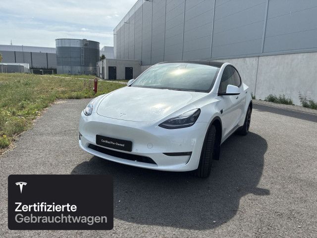 Model Y