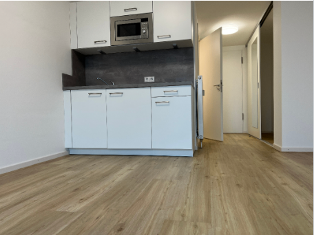 Etagenwohnung Hannover Nordstadt - 1 Zimmer, 25 m&sup2;, 342&euro; | Angebot:26190547