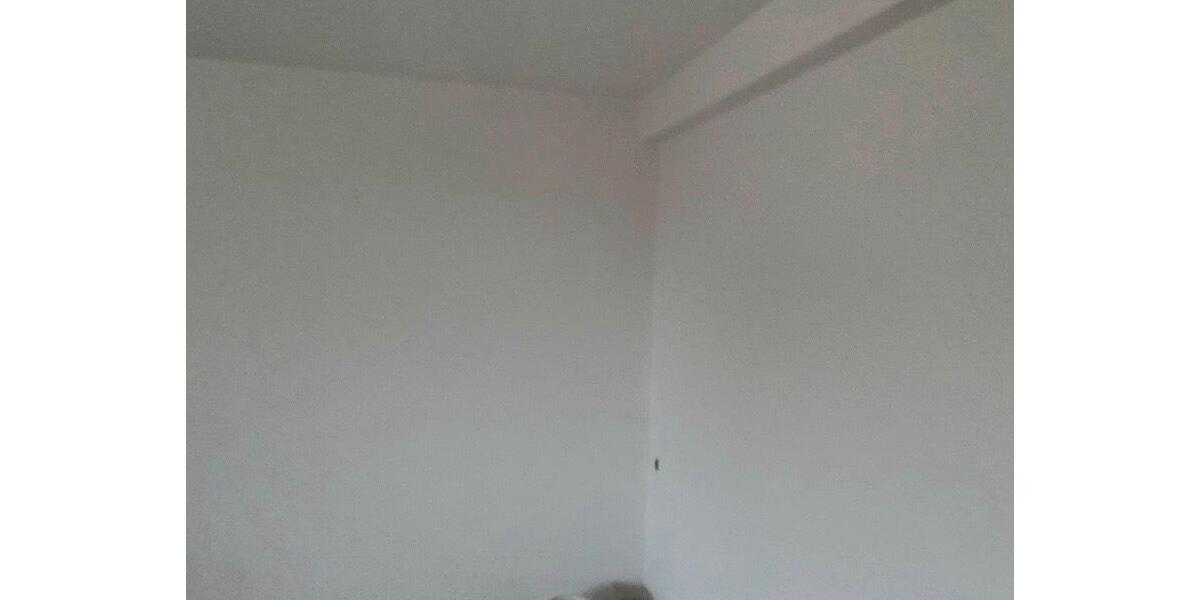 Etagenwohnung Nordstemmen - 2 Zimmer, 77 m&sup2;, 592&euro; | Angebot:25320525