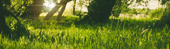 Outdoor-Action im Wald (Umland)
