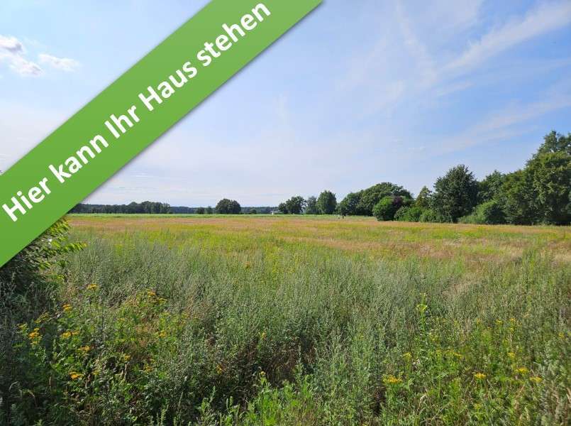 Haus zum Kaufen in Fuhrberg 411.290 € 130 m²