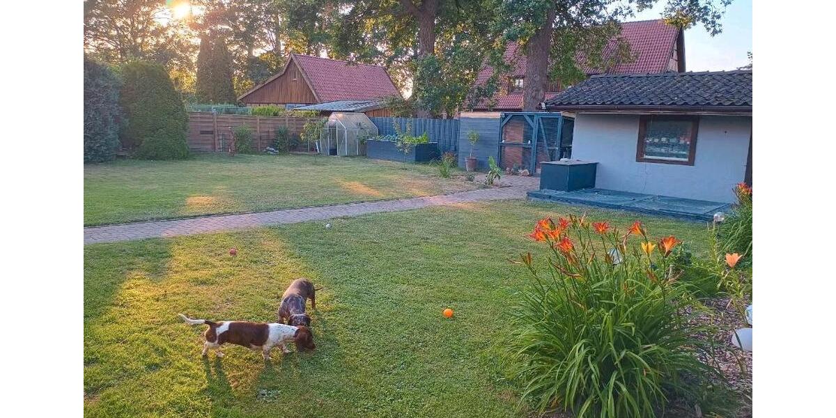 Einfamilienhaus Wedemark - 6 Zimmer, 150 m&sup2;, 520.000&euro; | Angebot:27110869