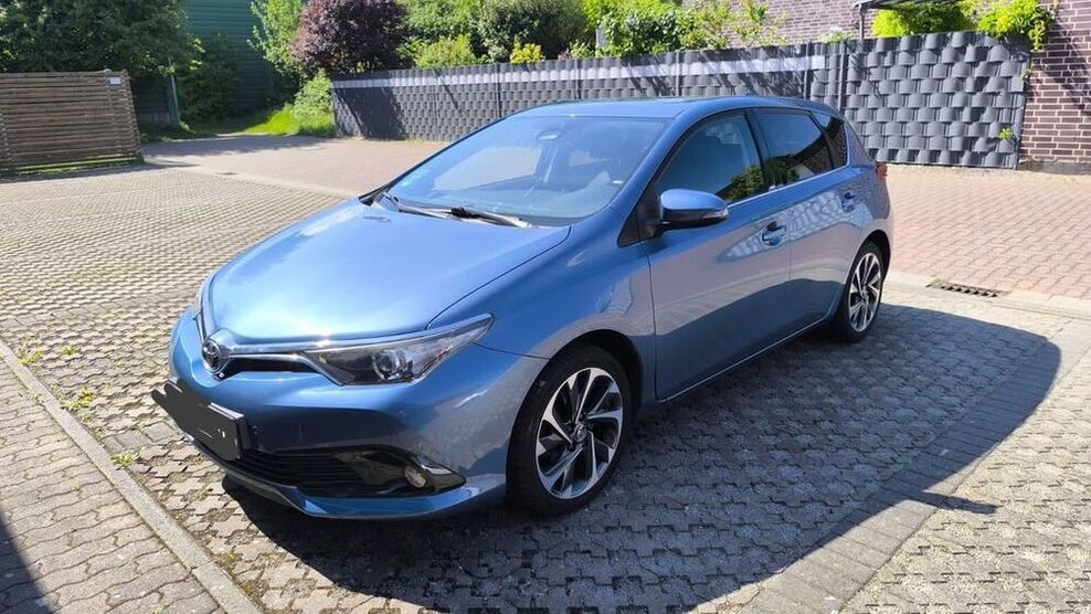 Auris