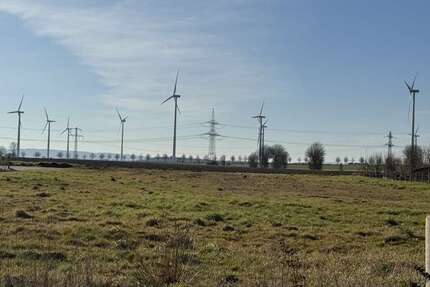 Grundstück zu verkaufen in Pattensen Schulenburg 314.880 € 1016 m² zimmer