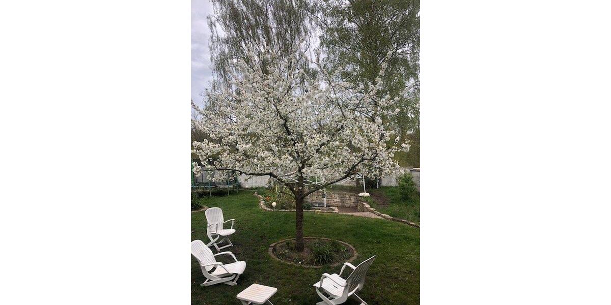 Doppelhaushälfte Hannover Misburg-Anderten - 7 Zimmer, 135 m&sup2;, 339.000&euro; | Angebot:26758255