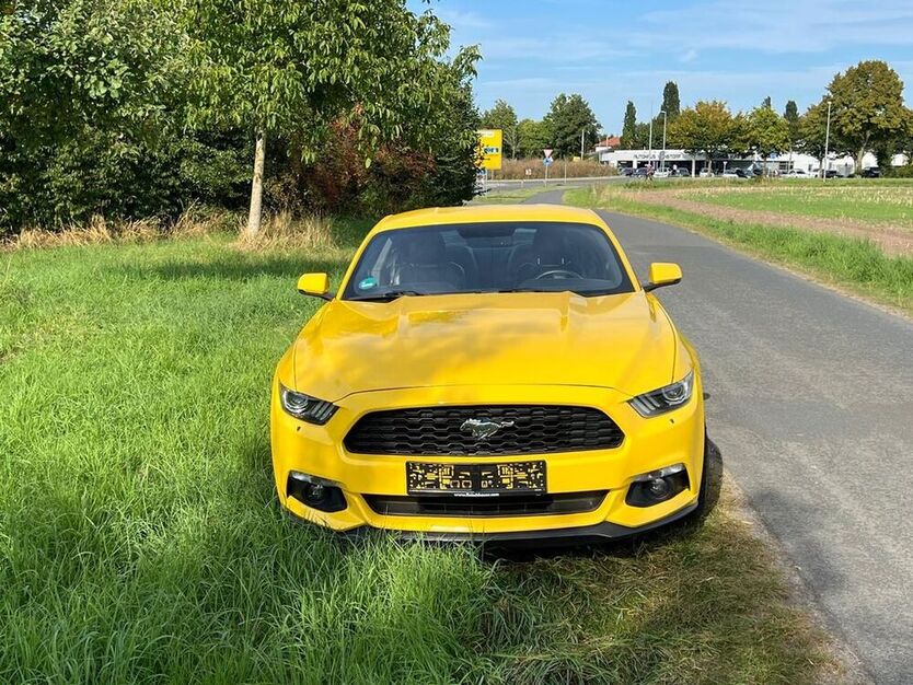 Mustang